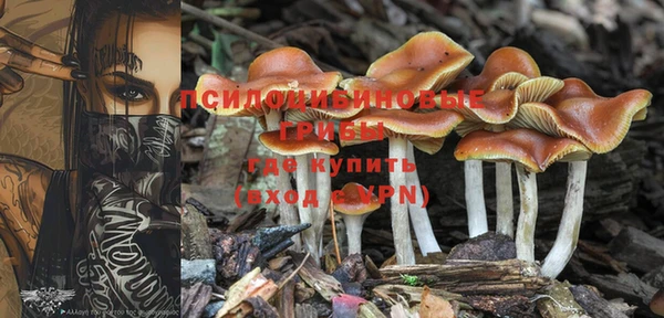 кокаин премиум Бородино