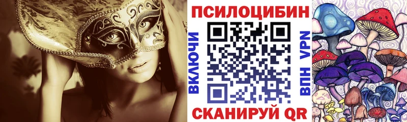 Галлюциногенные грибы Psilocybe  Юрюзань 