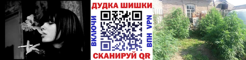 мориарти какой сайт Юрюзань Шишки марихуана конопля
